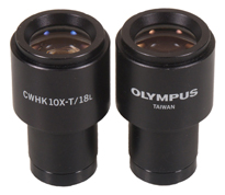Olympus x10 (2413)