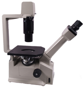 Nikon TMS Inverted Binocular Microscope