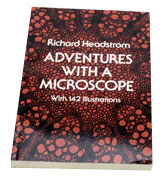 Adventures with a Microscope: Headstrom