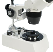 MX6T Stereomicroscope