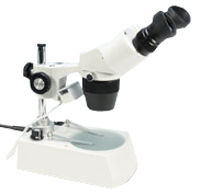 MX7T Stereomicroscope