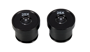 x25 eyepieces for DM6