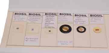Biosil Leaf Sections (2062)