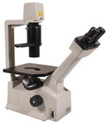 Nikon TMS Inverted Binocular Microscope