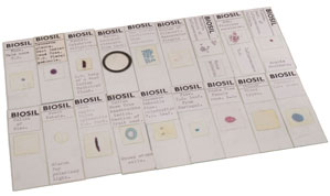 Biosil Botany Slides (3324)