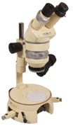 Wild M5 Stereomicroscope (3375)