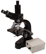 Leitz Ortholux Trinocular (3376)