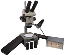 MBS-10 Stereomicroscope (3464)