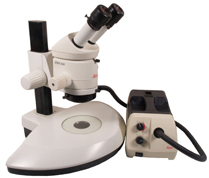 Leica MZ6 Stereomicroscope (3469)
