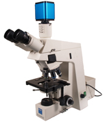 Zeiss Axioskop Trinocular