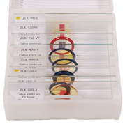 Gallus Embryo Slides (3498)