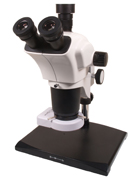 BSL Zoom Stereomicroscope