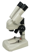 DM6 Stereomicroscope