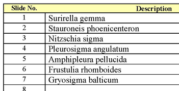 Test Diatom Slides (3496)