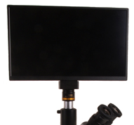 Brunel Integrated Screen Camera