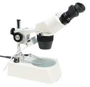 MX6T Stereomicroscope