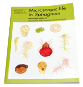 Microscopic Life in Sphagnum: Hingley
