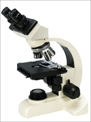 SP40 Binocular Microscope