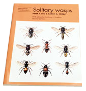 Solitary Wasps: Hopkins