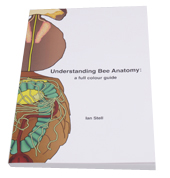 Understanding Bee Anatomy