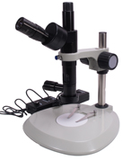 Microzoom Dual with Plain Base.