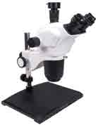 BSL Zoom Stereomicroscope