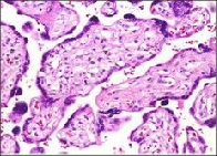 Zoology Selection BSS4